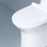 Toilettes en céramique émaillée blanche, outil de fermeture, plancher de toilette debout, lavage monobloc, toilettes