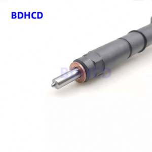 Iniettore Carburante Common Rail Diesel 0445116019 0 445 116 019 Parti Motore Auto 0986435395 580540211 5801540211 504341488 - Product Image 2