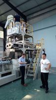Extrudeuse automatique d'aliments pour poissons, branche Nigéria, machine à fabriquer des aliments pour poissons à double vis flottants/immersibles