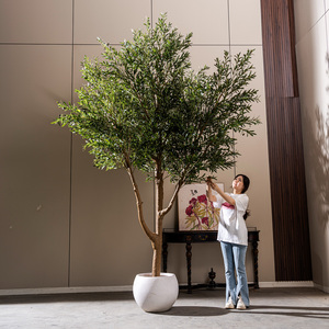 Knstliche Olivenbume im Angebot: 1.000+ | Alibaba.de