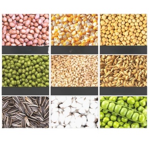 Semoir manuel à deux rangs pour usage domestique et agricole, pour maïs et oignon - Product Image 6