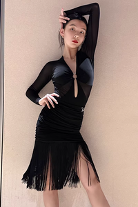 महिलाओं के लिए लेटिन नृत्य पोशाक वयस्क स्पैन्डेक्स/पॉलिएस्टर तुटू स्कर्ट लंबी आस्तीन गहरी v गर्दन के पंनी उन्नत ज्ञान विभाजन प्रशिक्षण - Product Image 3