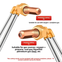 Torche de découpe oxy-acétylène 30 en cuivre pur, norme nationale, pour gaz propane/gaz liquéfié, à aspiration