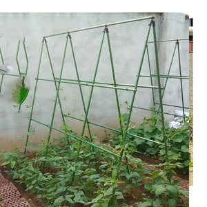 เสาค้ำต้นไม้สำหรับพืชเลื้อย โครงเหล็กตกแต่งสำหรับต้นไม้ - Product Image 5