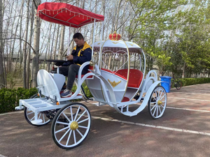 عربة سندريلا فنية حديدية ، عربة إبداعية ، ديكور عربة خارجية ، عربة بمناظر طبيعية ، سيارة لمشاهدة معالم المدينة - Product Image 5