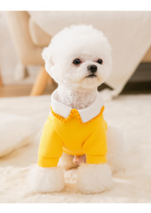 Vêtements de printemps pour animaux, 5 pièces, <span class=keywords><strong>pull</strong></span>, vêtements de vacances, chats de dessin animé mignons, jambes - Product Image 5