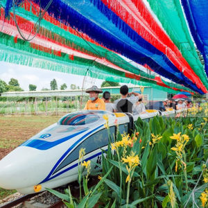Attraction en plein air pour adultes Train électrique à vendre Parc d'attractions Track Train Sightse - Product Image 4