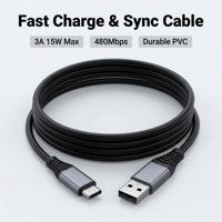 Câble de charge rapide 3A à double blindage en PVC pour synchronisation de données haute vitesse USB-A vers USB-C