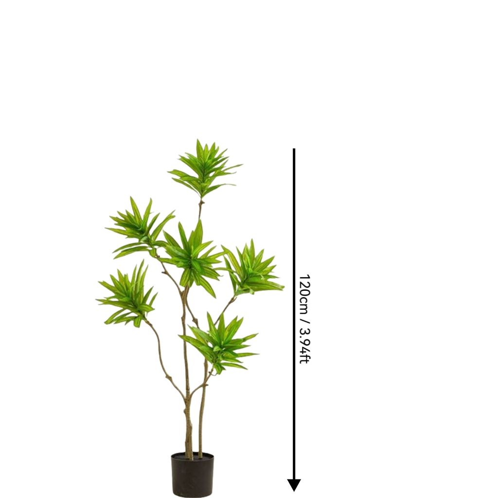 Vert 3,94 pieds/120 cm