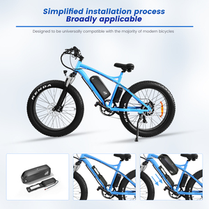 Batterie solide pour vélo électrique Hailong G80 48V 13Ah avec BMS 20A pour moteurs 750W/1500W, cathode NCM, 1000 cycles - Product Image 4