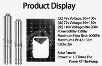 2hp 110V Haut Débit Solaire Puits Profond Pompe Submersible Système D'alimentation En Eau Domestique à Haute Efficacité