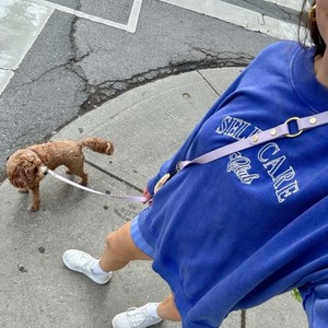 Correa de Perro Personalizada de PVC, Impermeable, Ligera, para Razas Pequeñas, para Paseos al Aire Libre, con Colores Personalizados y Opción de Marca Privada - Product Image 1
