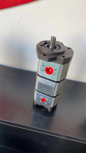 Bombas <span class=keywords><strong>de</strong></span> Engranajes <span class=keywords><strong>de</strong></span> Repuesto Serie AZPF, Serie AZPNFF, AZPNFF-12, AZPNFF-12-020/004/011RDC202020PB 0510665200 - Product Image 3