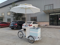 Tricycle électrique commercial pour vente de glaces, congélateur mobile, vélo cargo pour aliments, tricycle passagers pour vente de sucettes glacées