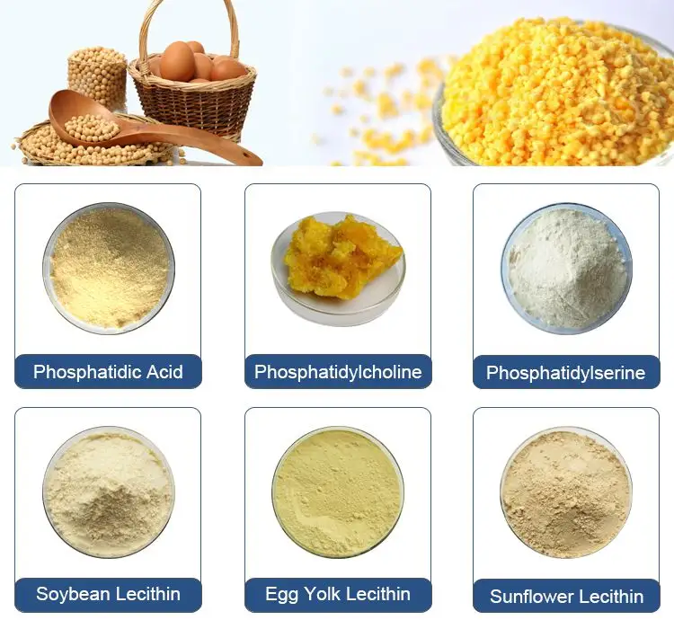 Soybean Extract Food Grade Pure Phosphatidylcholine Powder