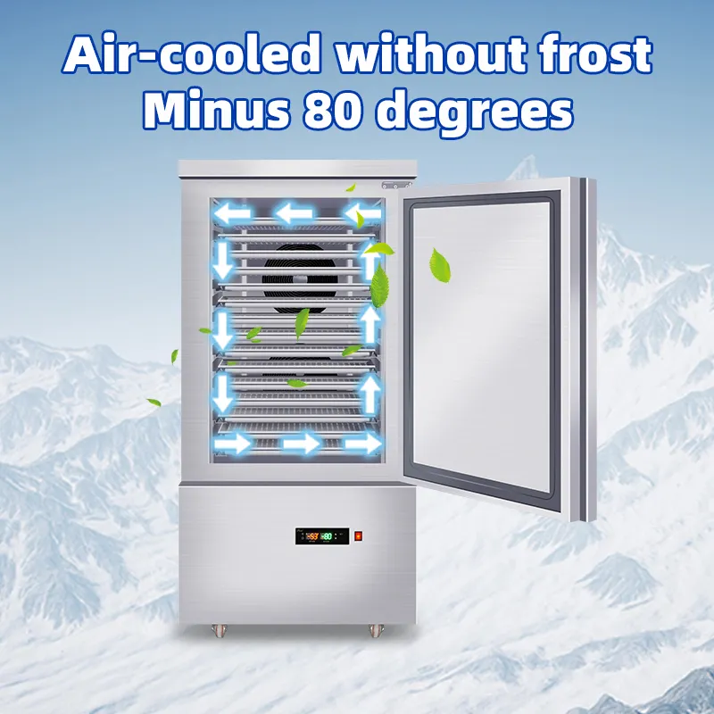 Ультранизкотемпературный шоковый замораживатель 10 лотков быстрая морозильная машина для клубники курицы картофеля фри 300 кг морозильная машина