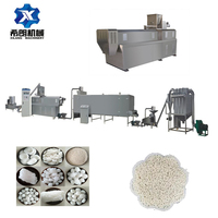 Ligne de production d'amidon de traitement de maïs Offre Spéciale modifié Snack Machine avec composant de noyau de moteur pour la fabrication d'amidon modifié