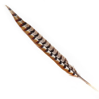 Fabrikgefärbte, gebleichte, naturfarbene 50-55 cm lange Fasanenschwanzfedern, rohes Muster, große Reeves Xinyuling Marke, 100 Stück/Packung