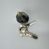 Cilindro de Cerradura con Logotipo Personalizado en Color, Perfil Europeo, Estilo Americano, Llave Fabricada en Taiwán, Embalaje Personalizado