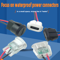 Custom Type-C Charging Dock Cable Flat Buckle Plastic Insulation TP Charging Line Terminal 100cm Length 5V Rated Voltage for