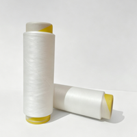 Fil de nylon haute ténacité 100% blanc brut, fil de polyamide pour le tricot, la couture et le tissage