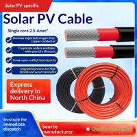 Detchuan PV1-F 2,5mm 4mm 6mm 8mm 10mm 16mm 25mm 35mm Verzinnter Kupferleiter Vernetztes Polyethylen XLPE Photovoltaik-Kabel