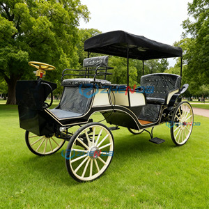 Nouvelle calèche de luxe européenne pour le tourisme, les événements, les mariages en parc, calèches à chevaux électriques - Product Image 5