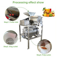 Industriële tomatenpureemachine met fijne pulpverfijning voor de productie van saus, ketchup en pasta.