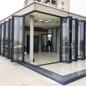 Puerta de vidrio de doble marco para Exterior, Puertas Plegables de aluminio, a prueba de hurones, para balcón y Patio