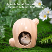 Rumah Kaktus Keramik, Tempat Berlindung Pendingin untuk Hamster, Dekorasi Kandang Semua Musim untuk Hamster Suriah Grosir