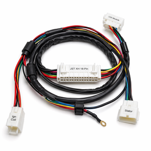 Faisceau de câblage ATV OEM personnalisé JST XH 18 broches AWG22 UL1007 étanche IP67 pour pièces de <span class=keywords><strong>quad</strong></span> <span class=keywords><strong>50cc</strong></span> 70cc 110cc 125cc - Product Image 1