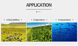 Probiotici animali per acquacoltura di alta qualità grado di alimentazione bacillus subtilis completamente solubile in acqua - Product Image 3