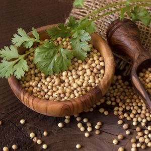 Graines de coriandre entières, épices naturelles, Orissa DALAI IMPEX, pour la cuisine et l'assaisonnement - Product Image 3
