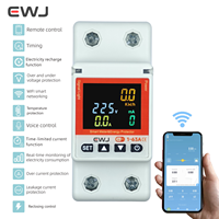 Interrupteur WIFI EWJ-63T 63A Smartlife TUYA, disjoncteur avec compteur d'énergie, minuterie, protection contre les surtensions, les fuites de courant, en plastique