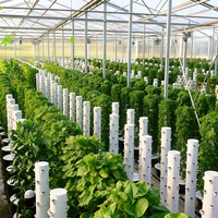Système d'irrigation hydroponique à haute rigidité commercial, facile à cultiver, équipement de tour, agriculture verticale