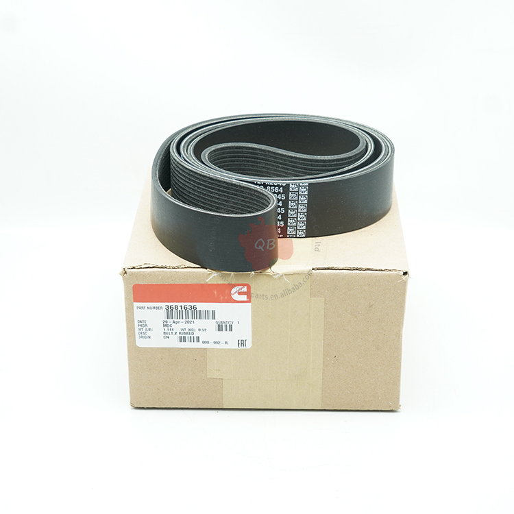 Cummins Engine ISX15 QSX15 V Ribbed Fan Belt 3681636