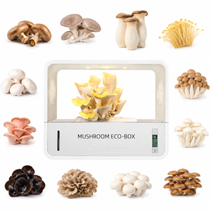 Boîte éco-responsable intelligente à <span class=keywords><strong>arrosage</strong></span> <span class=keywords><strong>automatique</strong></span> <span class=keywords><strong>pour</strong></span> champignons, idéale <span class=keywords><strong>pour</strong></span> les cadeaux, boîte éco-responsable silencieuse <span class=keywords><strong>pour</strong></span> champignons, 1 unité <span class=keywords><strong>pour</strong></span> le bureau avec affichage de la température - Product Image 3