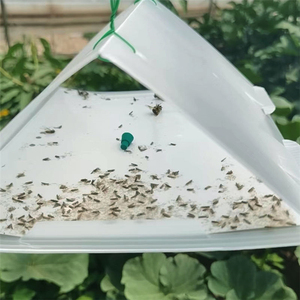 Fruit Fly Pheromone Attractant Bactrocera Dorsalis Lure Spodoptera Litura <b>Rubber</b> <b>Plug</b> Attraction Core for Orchard & Garden - Product Image 5