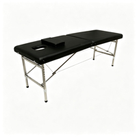 Table de massage professionnelle pliable en acier inoxydable à 2 sections, lit de spa réglable
