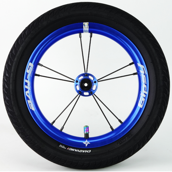 Gipsy G-FIVE Kids Bike Wheelset 12 Inch 10H Balance Bicycle Wheel