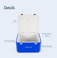 Glacière portable en plastique IceMaster Professional grande capacité 30L 65L 85L pour le camping et les pique-niques