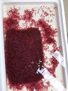 Venda Direta Da Fábrica Bloodworms Congelados Premium Alimento Seco para Animais Aquáticos - Product Image 2