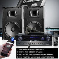 Système d'équipement audio professionnel pour karaoké à domicile, ensemble de haut-parleurs KTV, microphone sans fil, USB, TB