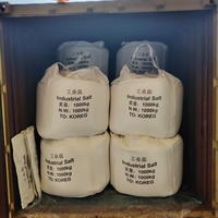 BANGZE Fine Powder Salt CAS 7647-14-5 Sodium Chloride 99% Min White for Detergent Dyeing 25kg Bag
