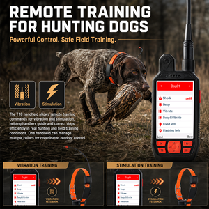 Collar GPS Inteligente para Perros GUPTOMES en Colaboración con BOLROK, con Actualización Rápida de Posición, Tranquilidad Familiar <span class=keywords><strong>y</strong></span> Fácil Control Diario - Product Image 3