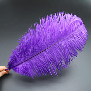 Plumes d'autruche teintées spectaculaires de 30-35 cm (50 pièces/sac) – Couleurs personnalisables – Marque HKFeathers pour mariages thématiques et burlesque - Product Image 4