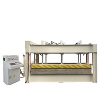 Machine hydraulique automatique de presse à chaud du travail du bois 120t 3 couches pour le placage en bois de porte 3 couches