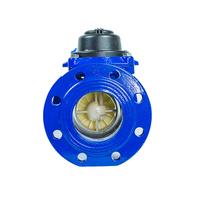 Compteurs d'eau prépayés Woltmann Dry Detachable Schlumberger