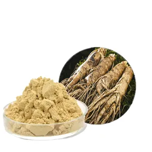 Miglior prezzo prodotti per la pelle 99% estratto di radice di ginseng Panax coreano polvere di ginseng per ginseng