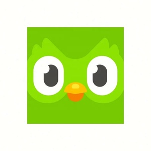 Cuenta Premium de Duolingo Pro, 1 Año, Aplicable Globalmente, Activa Tu Propia Cuenta - Product Image 4